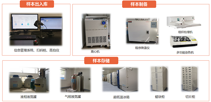 图片25.jpg 图片25.jpg